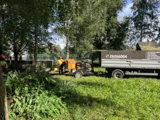 Arborista pakalpojumi!