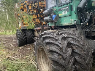 Forvardera pakalpojumi