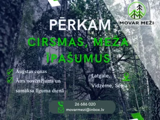 http://Pērkam%20īpašumus%20un%20cirsmas%20par%20augstām%20cenām%20attēls
