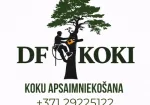 Sertificēta arborista / kokkopja pakalpojumi