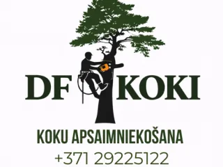 http://Sertificēta%20arborista%20/%20kokkopja%20pakalpojumi%20attēls