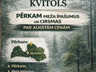 http://Pērkam%20meža%20īpašumus%20un%20cirsmas%20Jēkabpils%20rajonā%20attēls