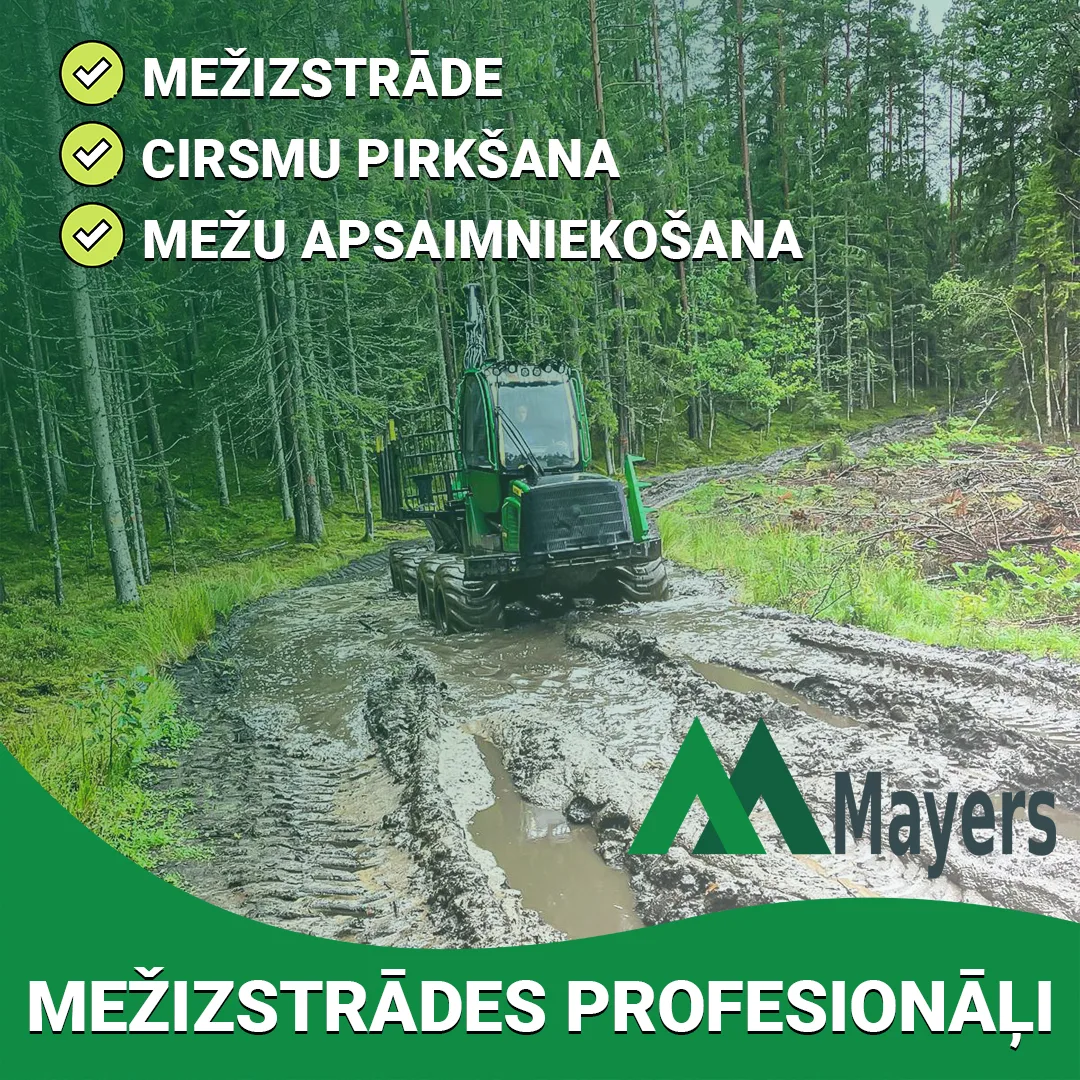 http://Mežizstrādes%20pakalpojumi%20Kurzemē%20attēls
