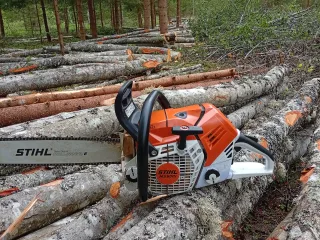 http://Zāģēšanas%20pakalpojumi%20image