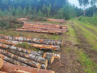 http://Sniedz%20harvestera%20pakalpojumus%20image