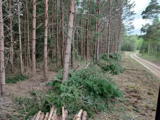 http://Sniedz%20harvestera%20pakalpojumus%20image