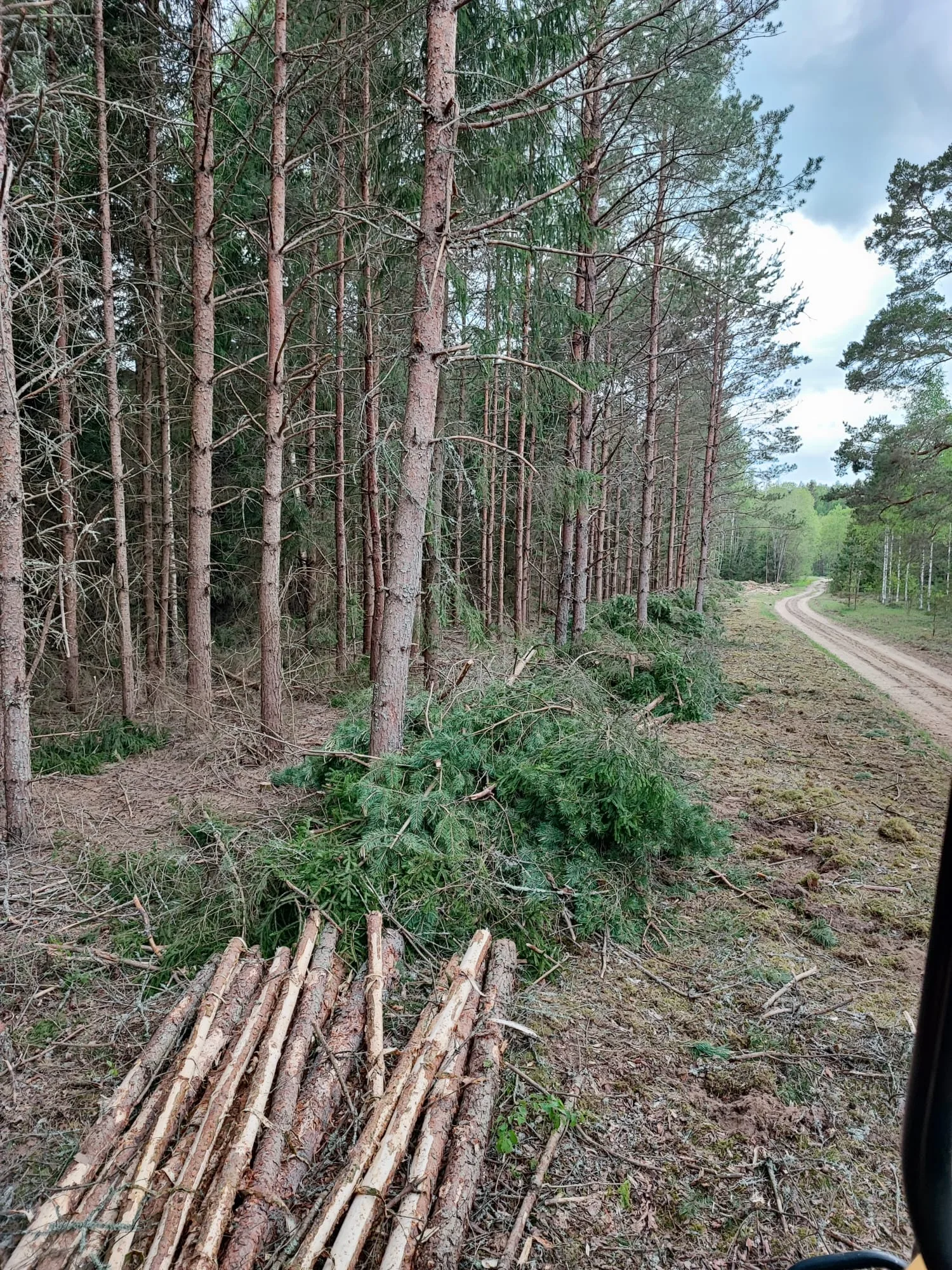 http://Sniedz%20harvestera%20pakalpojumus%20image