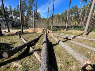 http://Arborista%20pakalpojumi%20–%20koku%20kopšana%20un%20teritoriju%20attīrīšana%20attēls