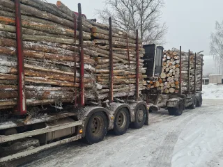 http://Kokvedēja%20pakalpojumi%20image