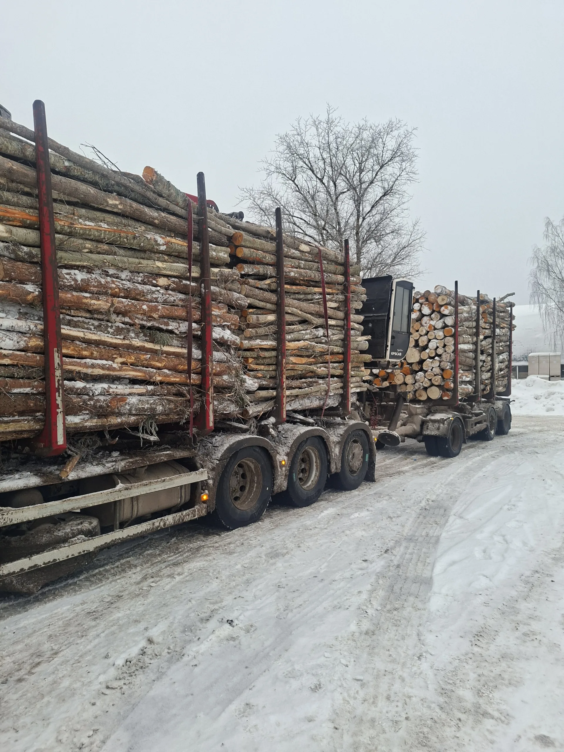http://Kokvedēja%20pakalpojumi%20image