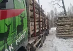 Kokvedēja pakalpojumi