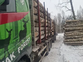 Kokvedēja pakalpojumi