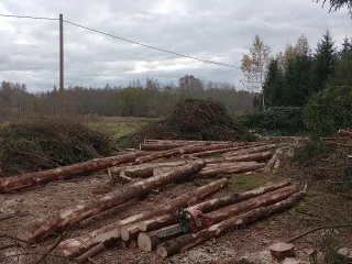 http://Zāģēšanas%20pakalpojumi%20image
