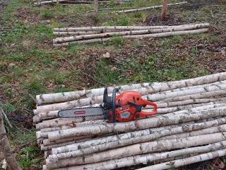 http://Zāģēšanas%20pakalpojumi%20image