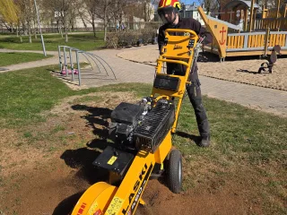 http://Arborista%20pakalpojumi%20–%20koku%20kopšana%20un%20teritoriju%20attīrīšana%20attēls