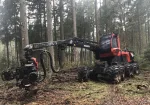 Mežizstrādes pakalpojumi