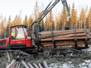 Mežizstrādes pakalpojumi