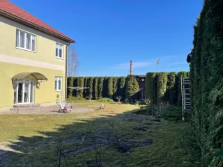 http://Arborista%20pakalpojumi%20–%20koku%20kopšana%20un%20teritoriju%20attīrīšana%20attēls
