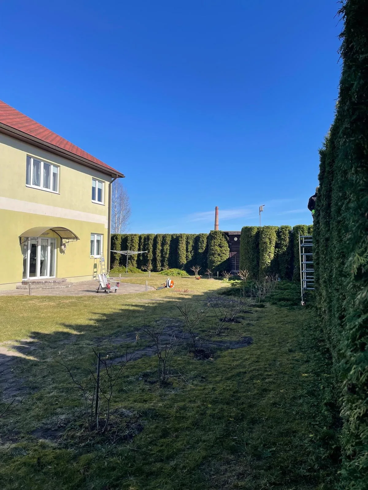 http://Arborista%20pakalpojumi%20–%20koku%20kopšana%20un%20teritoriju%20attīrīšana%20attēls