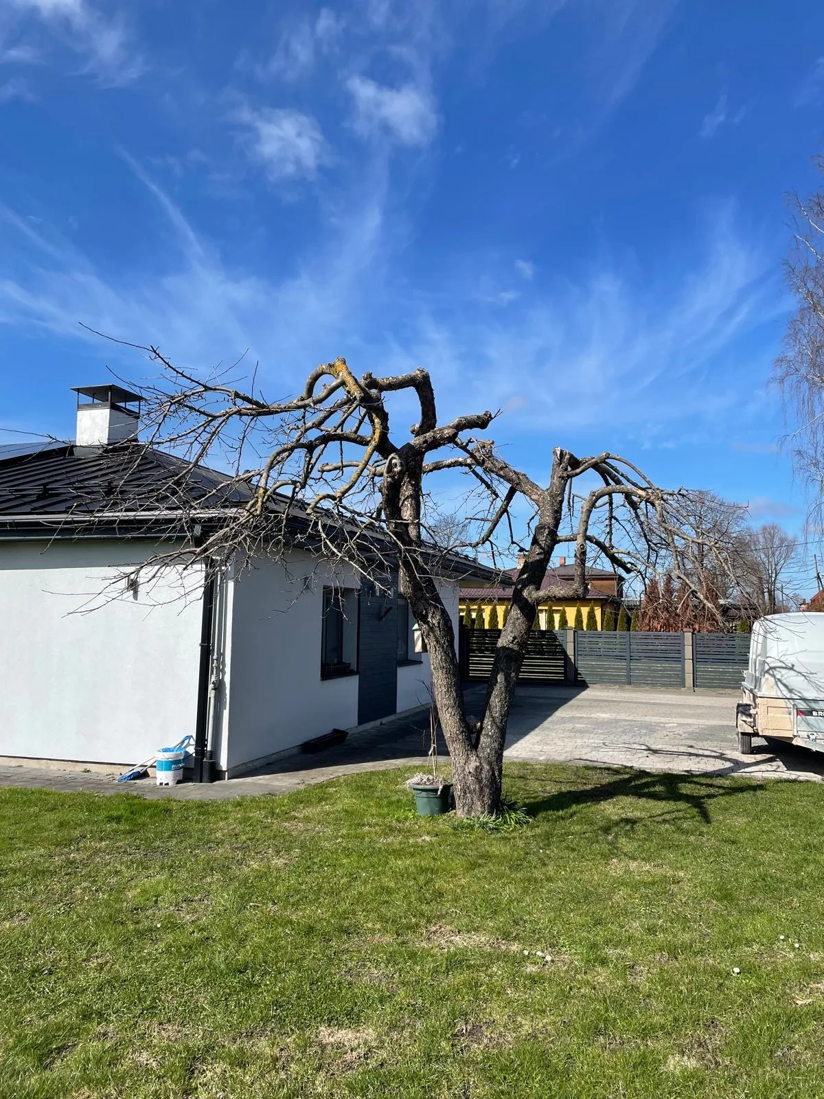 http://Arborista%20pakalpojumi%20–%20koku%20kopšana%20un%20teritoriju%20attīrīšana%20attēls