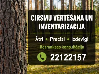 Cirsmu vērtēšana/dastošana