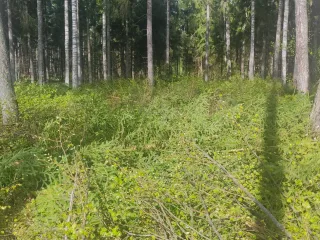 http://Komanda%20aicina%20pievienoties%20kolektīvā.%20attēls