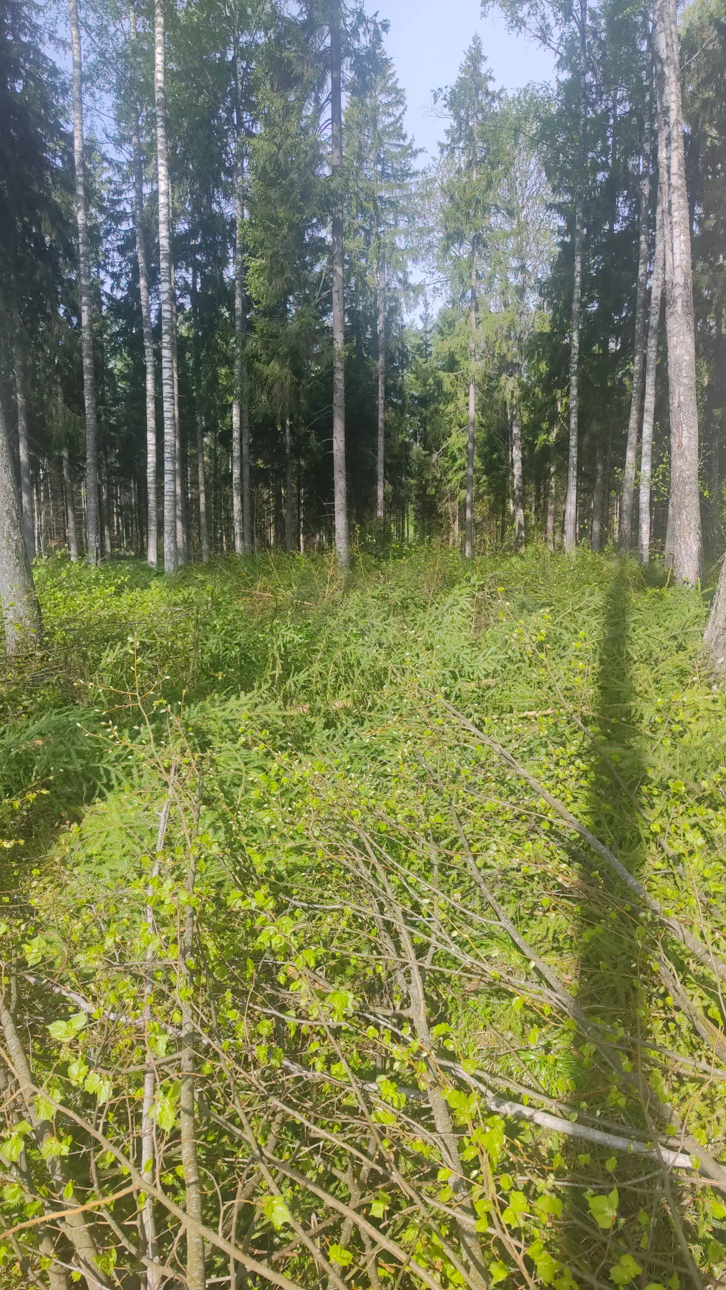 http://Komanda%20aicina%20pievienoties%20kolektīvā.%20attēls