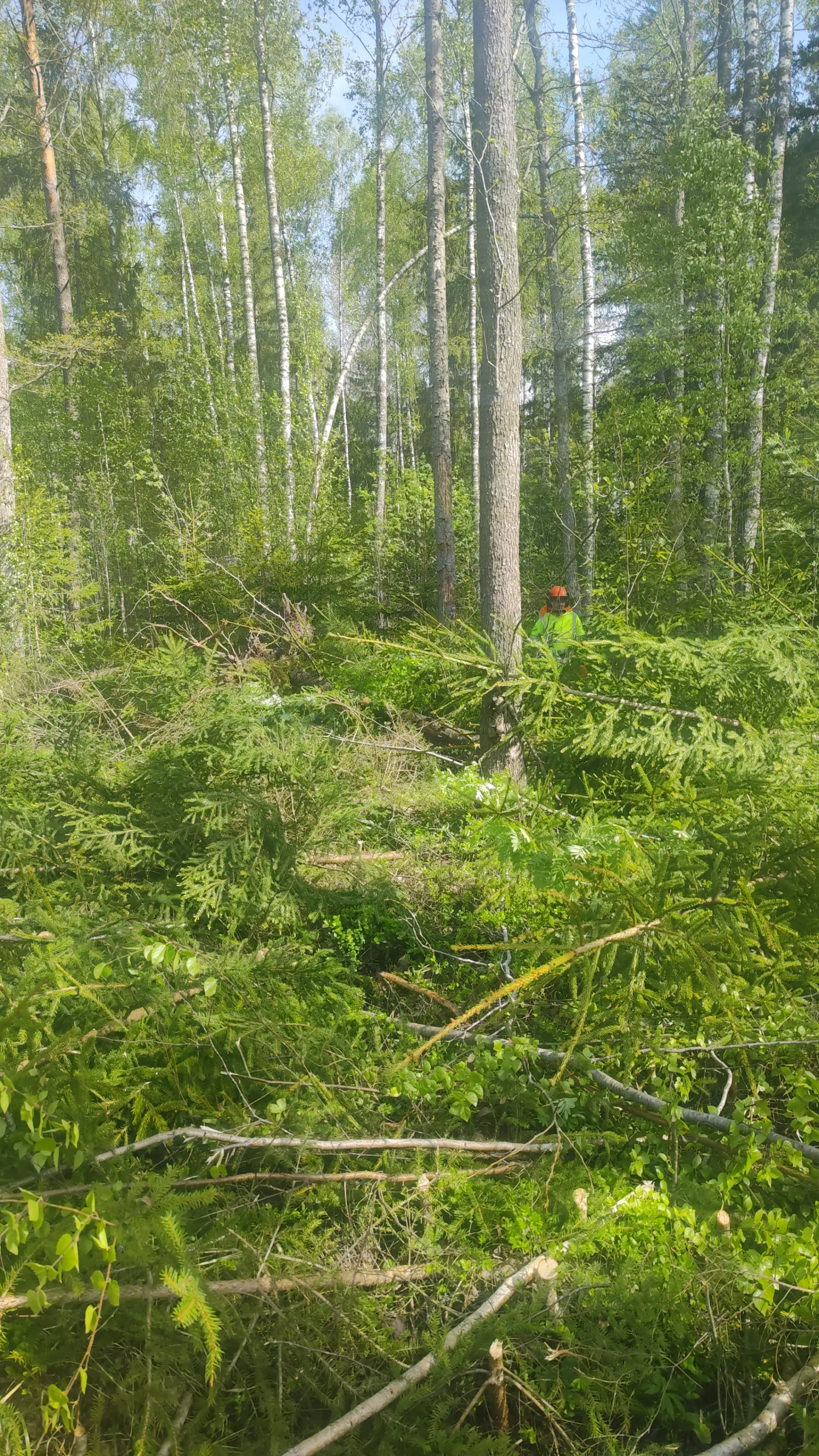 http://Komanda%20aicina%20pievienoties%20kolektīvā.%20attēls