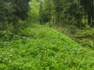 http://Komanda%20aicina%20pievienoties%20kolektīvā.%20attēls