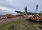 Pērkam baļķus