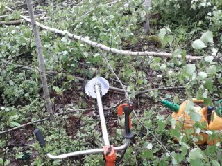 Krūmgriežu pakalpojumi