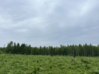 http://Agrotehniskā%20kopšana%20image