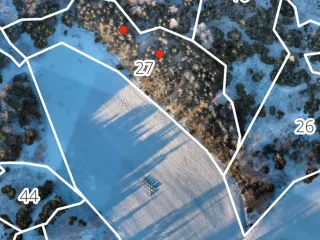 http://Meža%20taksācija%20+%20augstas%20izšķirtspējas%20drona%20karte%20īpašumam%20image