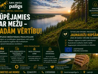 http://Rūpējamies%20par%20Jūsu%20mežu%20–%20no%20konsultācijas%20līdz%20rezultātam.%20image