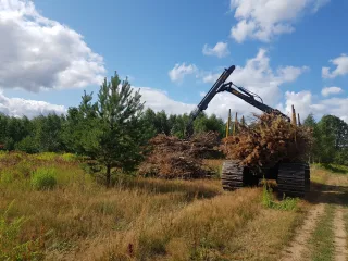 http://ATTĪRAM%20NO%20KRŪMIEM%20ZEMI%20image