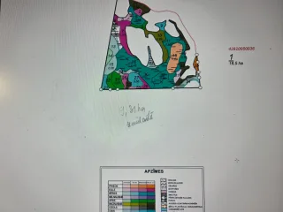http://Meža%2016.5%20ha%20īpašumā%2025.52%20ha%20-pārdod%20visu%20attēls