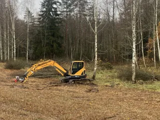 http://ATTĪRAM%20NO%20KRŪMIEM%20ZEMI%20image