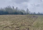 Augsnes gatavošana
