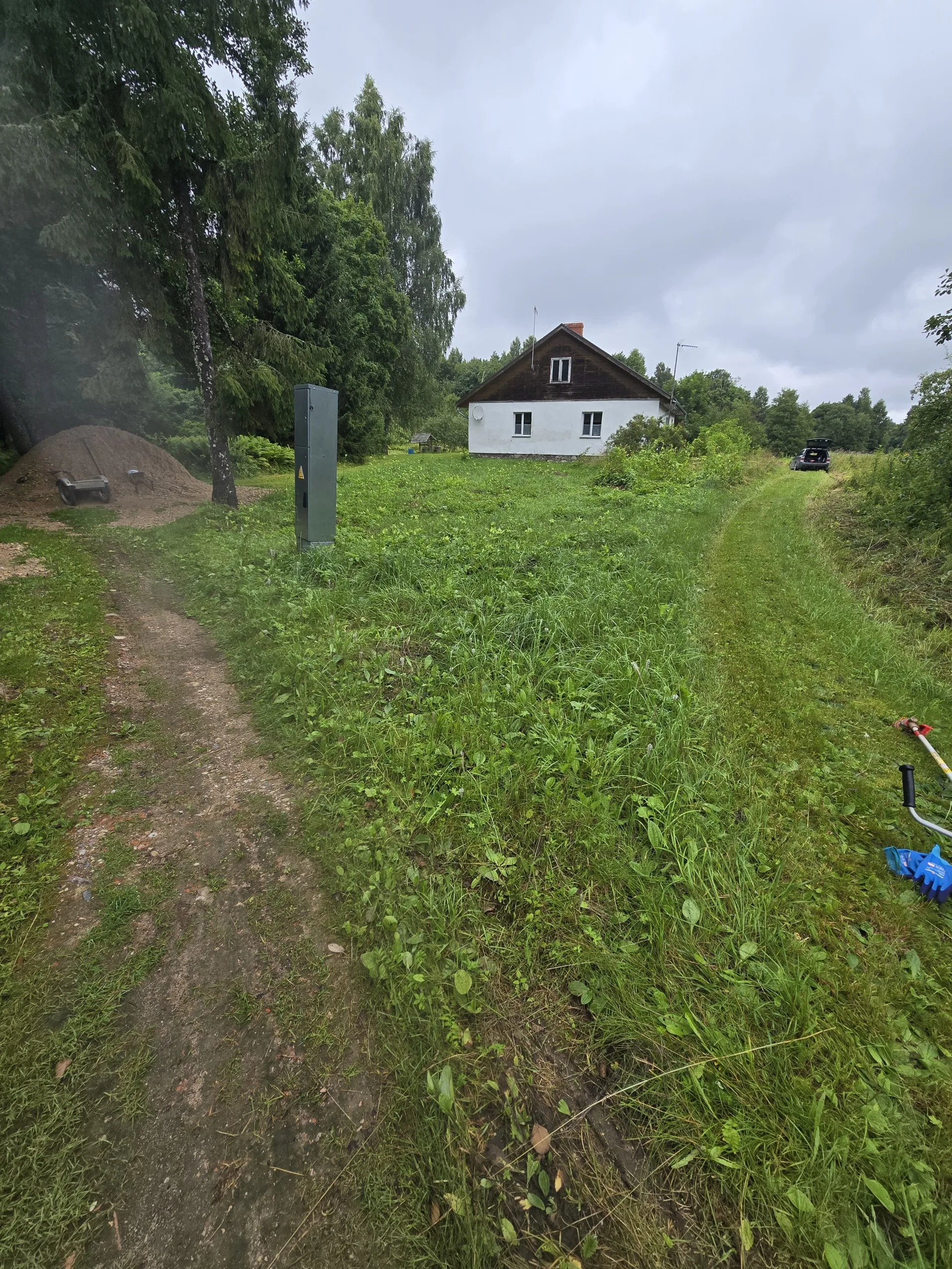 http://Visa%20veida%20Zāles%20trimerēšana,%20latvāņu%20miglošana%20pavasarī.%20attēls