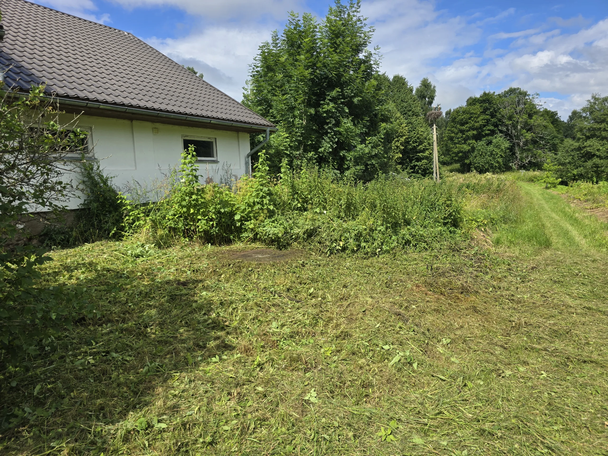 http://Visa%20veida%20Zāles%20trimerēšana,%20latvāņu%20miglošana%20pavasarī.%20attēls