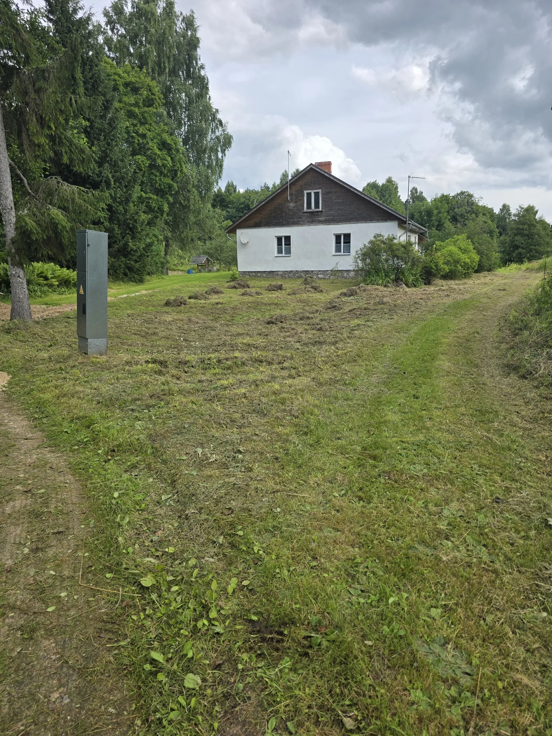 http://Visa%20veida%20Zāles%20trimerēšana,%20latvāņu%20miglošana%20pavasarī.%20attēls