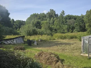 http://Visa%20veida%20Zāles%20trimerēšana,%20latvāņu%20miglošana%20pavasarī.%20attēls