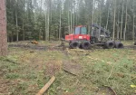 Forvardera pakalpojumi