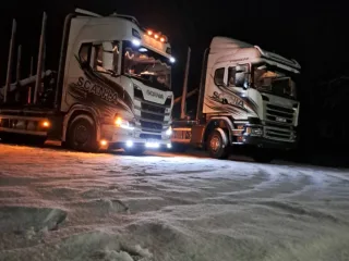 http://Kokvedēja%20pakalpoju%20attēls