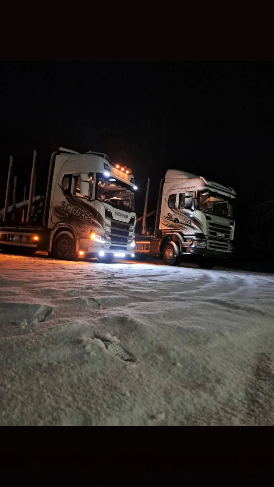 http://Kokvedēja%20pakalpoju%20attēls