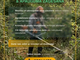 http://Trimmerešanas%20pakalpojumi%20attēls