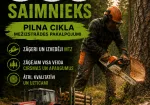 Mežizstrādes pakalpojumi