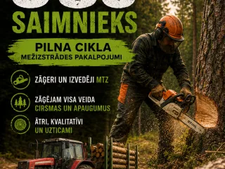 http://Mežizstrādes%20pakalpojumi%20attēls