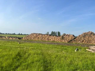 http://pērku%20pie%20ceļa%20apaļkokus%20image