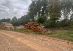 Pērku malku